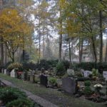 waldfriedhof3